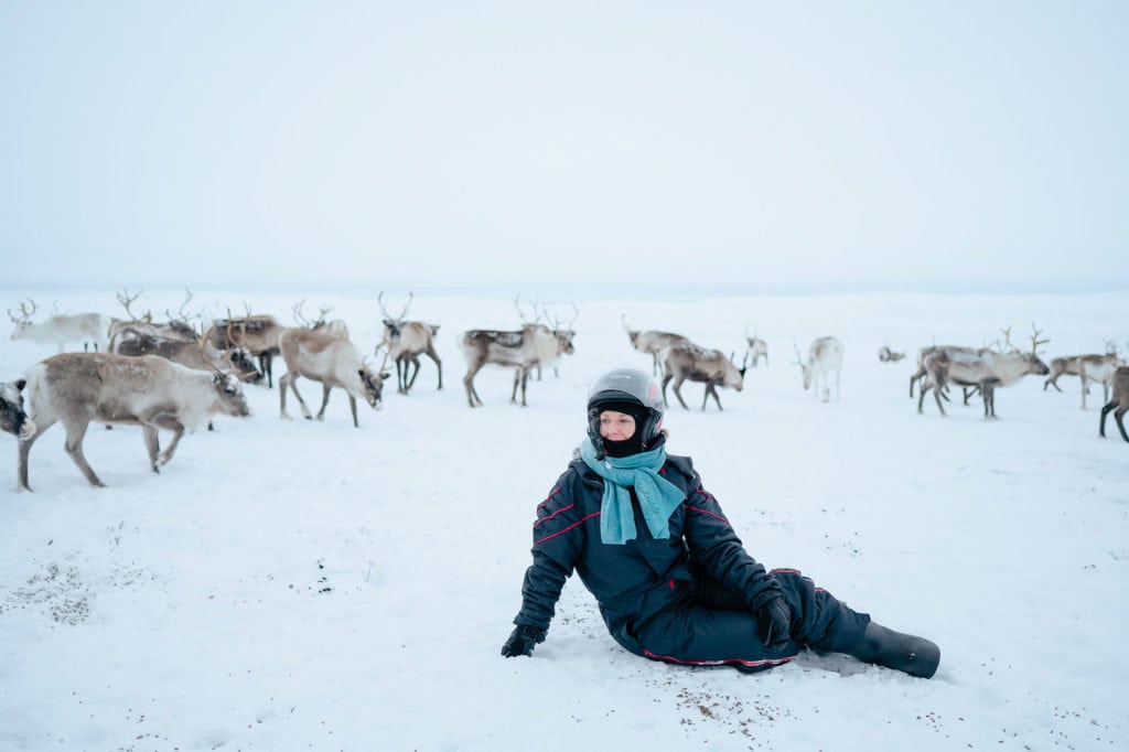Sami herder sitting in snow with reindeer herd in Arctic environment.